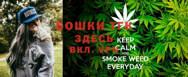 стаф Дмитриев