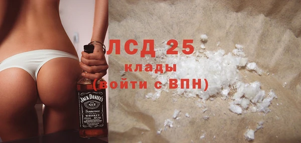 стаф Дмитриев