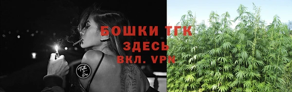 хмурый Дмитров