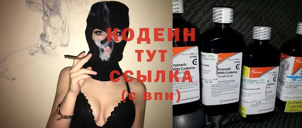 стаф Дмитриев