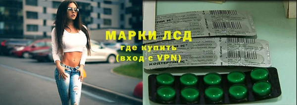 хмурый Дмитров