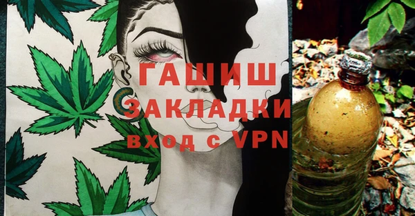 хмурый Дмитров