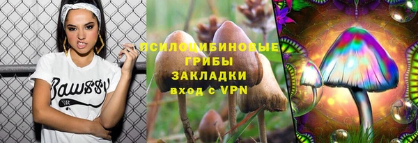стаф Дмитриев