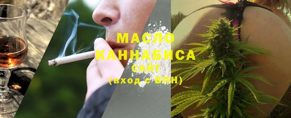 хмурый Дмитров