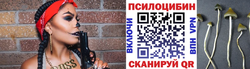 Псилоцибиновые грибы Cubensis  Елизово 
